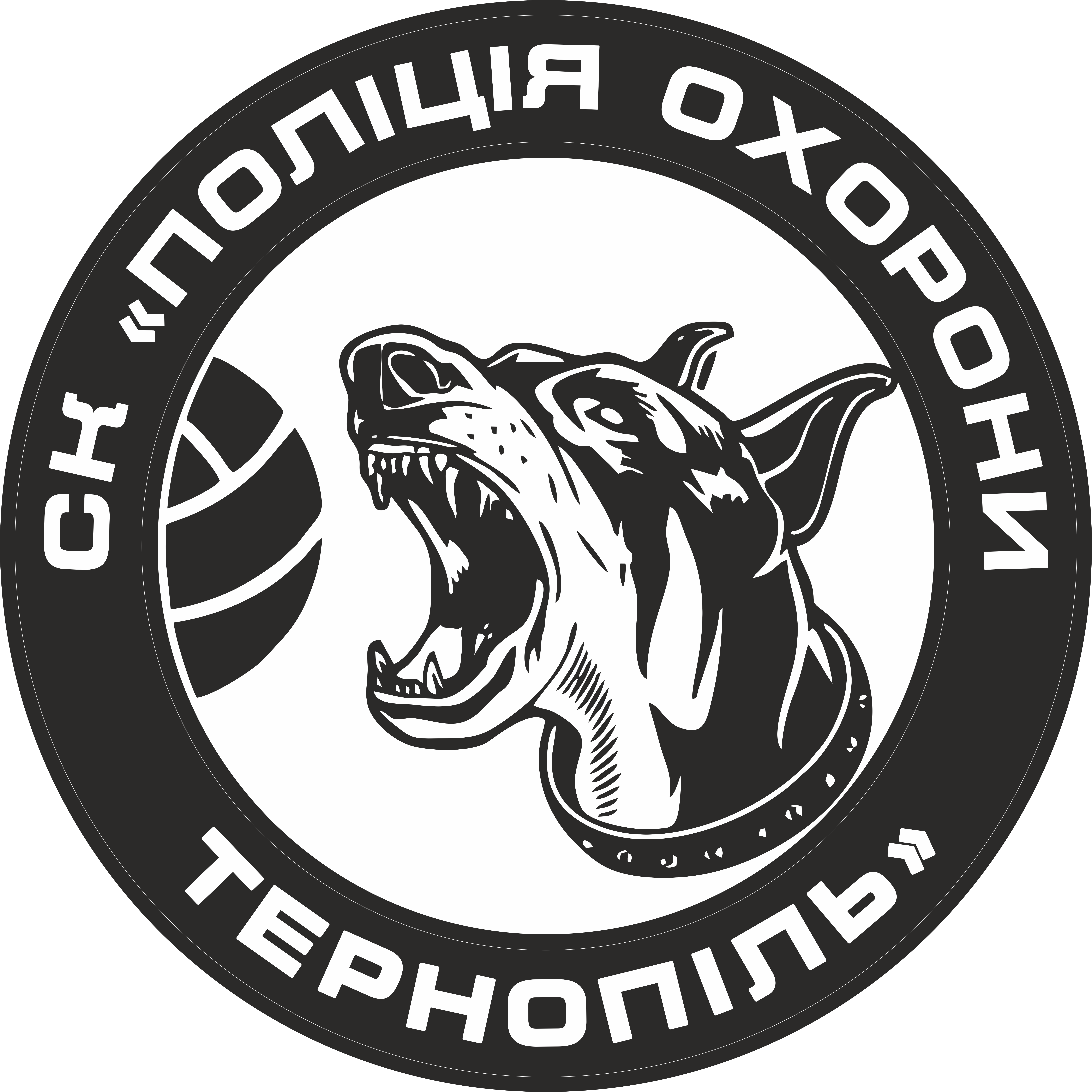 "Поліція охорони-ЗУНУ-Динамо"